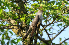 IMGP8670