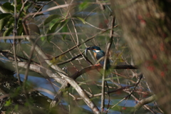 IMGP1214