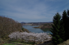 IMGP0561
