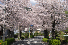 IMGP9666