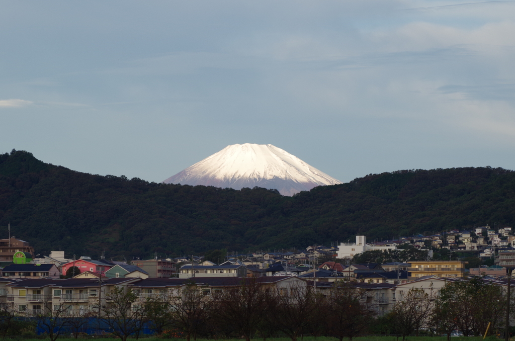 IMGP3296