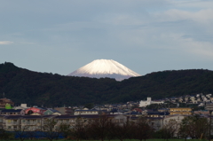 IMGP3296
