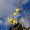 IMGP1694