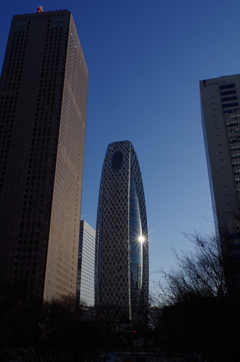 コクーンタワー