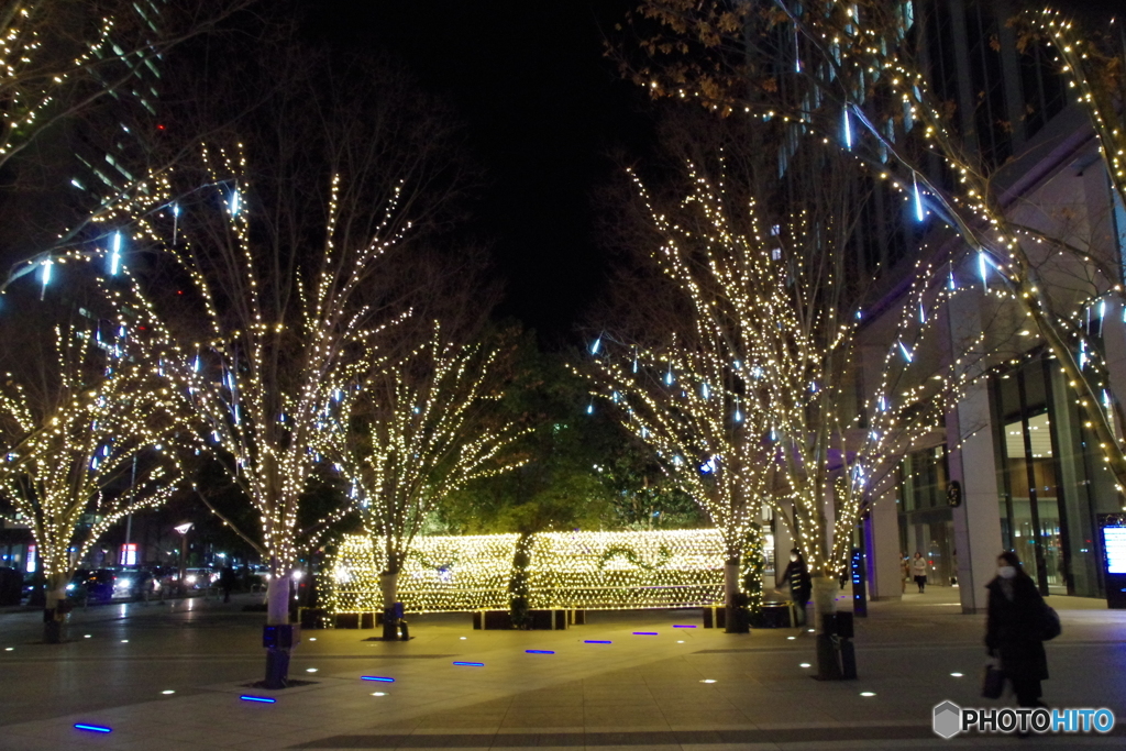 仙台・冬の風物詩その２