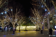 仙台・冬の風物詩その２