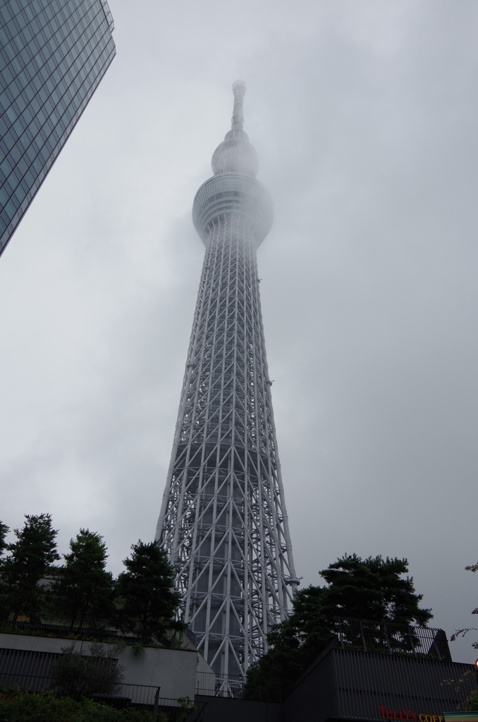 IMGP2509