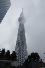 IMGP2509