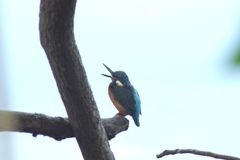 IMGP0349