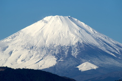 IMGP0963