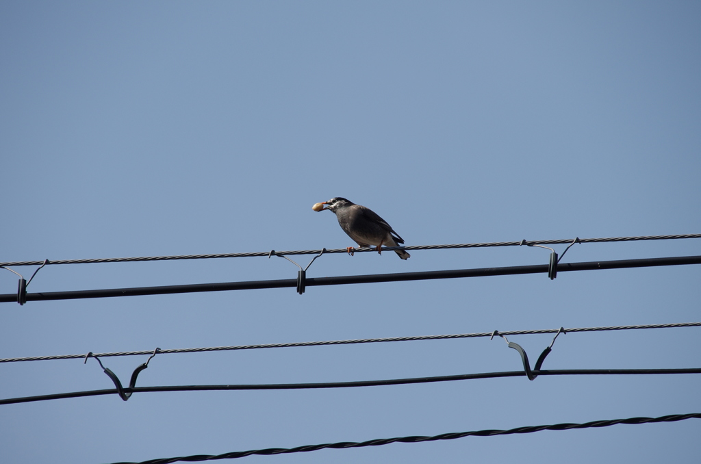 IMGP5756