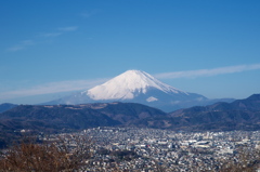 IMGP3588