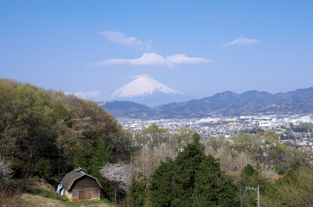 IMGP9665