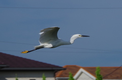 IMGP2873bu5