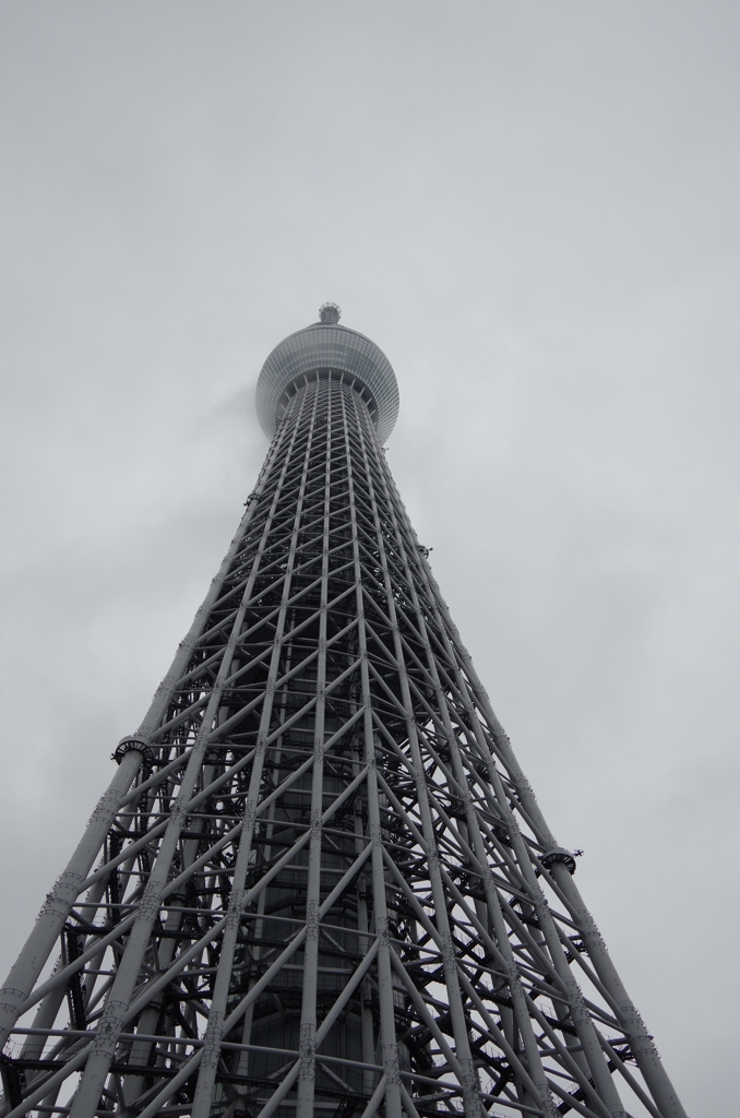 IMGP2522