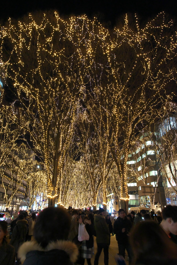 IMGP1776_1