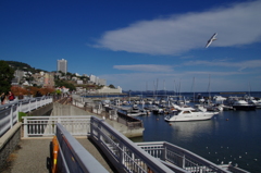 IMGP2641