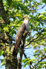 IMGP8686