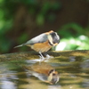 IMGP7326bu5