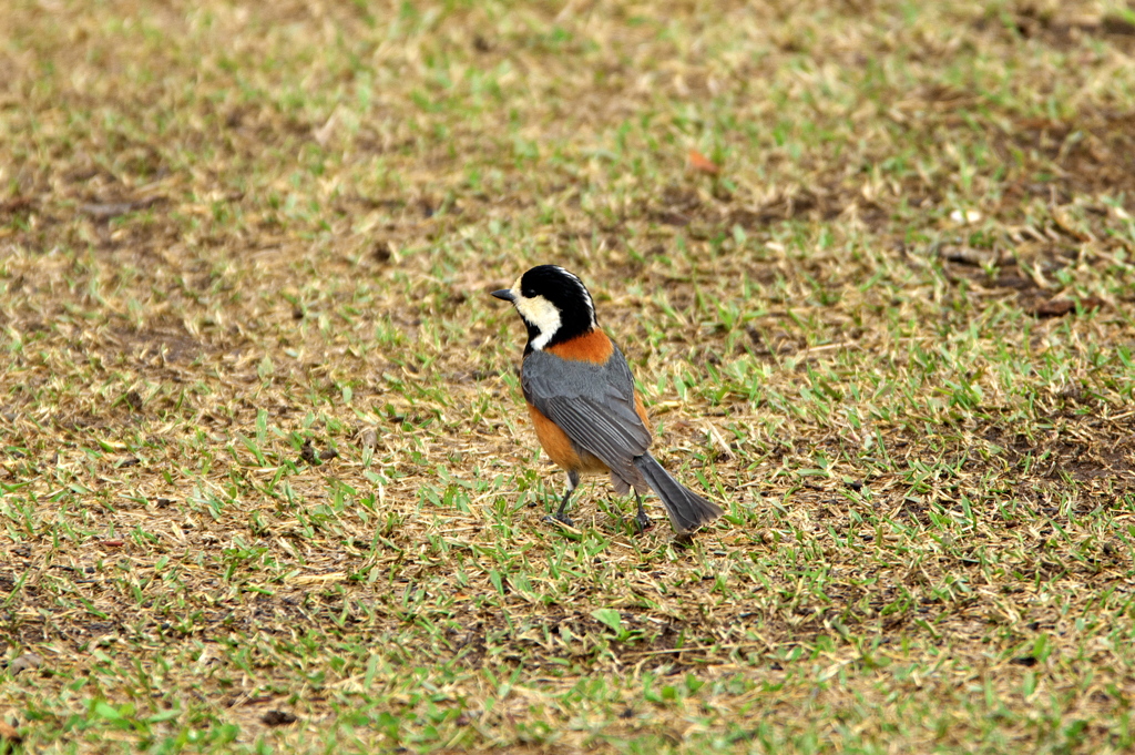 IMGP3430