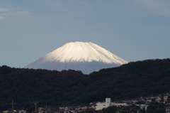 IMGP3299