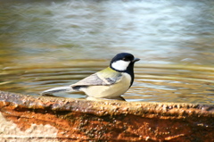 IMGP8035