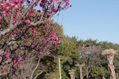 IMGP0054