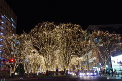 仙台・冬の風物詩その１