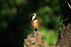 IMGP7639bu5