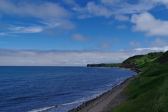 IMGP0783