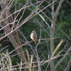 IMGP0737