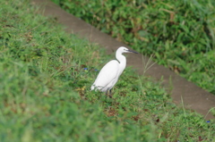 IMGP4331u5