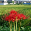 IMGP2853