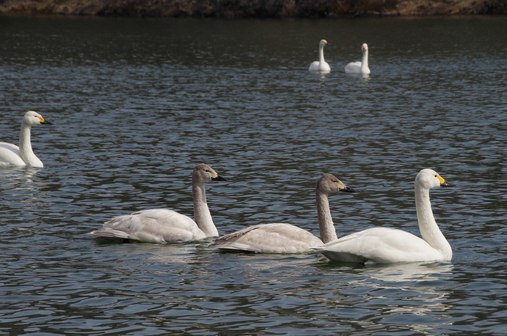 IMGP1015bu5