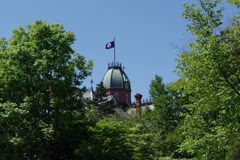 IMGP0520