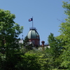 IMGP0520