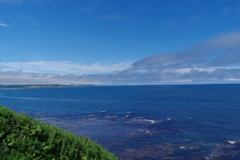 IMGP0796