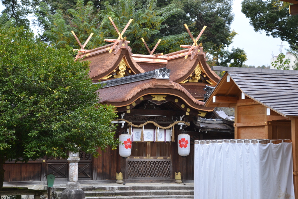 平野神社　本殿