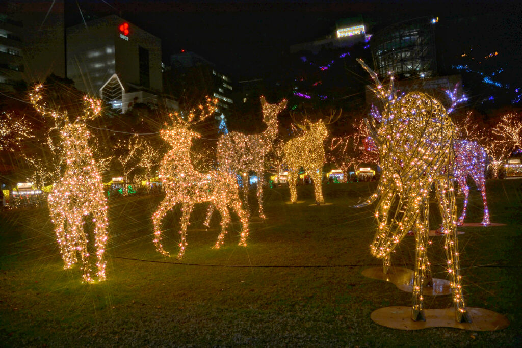 クリスマスアドベント　天神中央公園