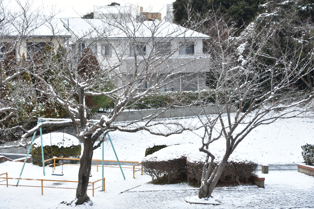 雪の公園