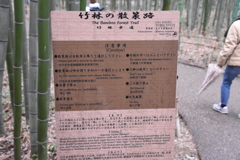 嵯峨嵐山の竹林