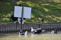 勝盛公園のバリケン