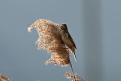 頂上まであと少し