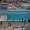 ペンギン舎全景