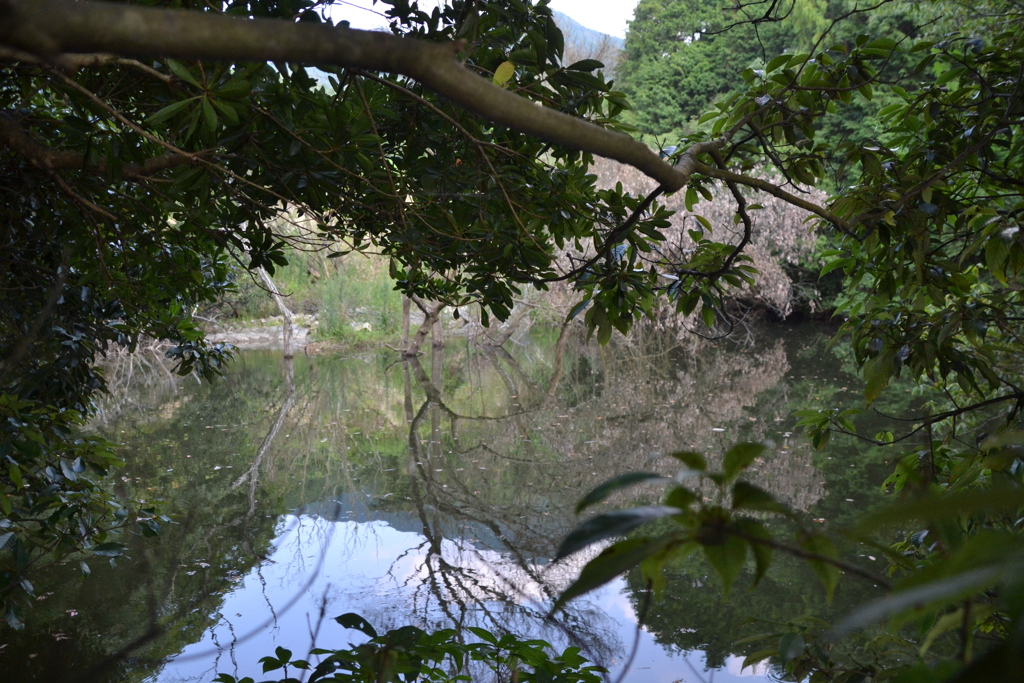 ため池　西油山