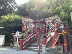 祐徳稲荷神社