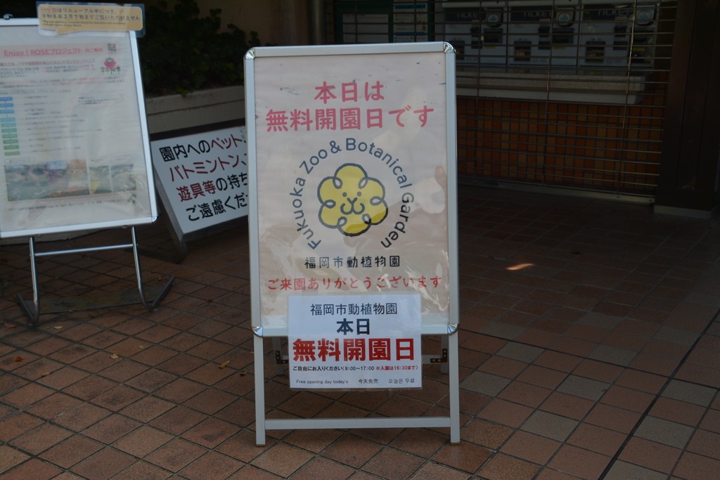 無料開放日