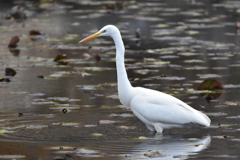 すでに胃の中へ