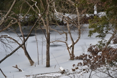 油山の池