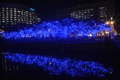 クリスマスアドベント　天神中央公園